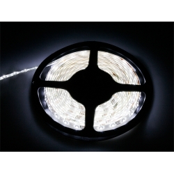 Taśma LED Premium 2835 4000K 50m 60diod/m 24V