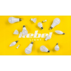 Żarówka LED E14 G45 8W 3000K 230V (ZAR0519)