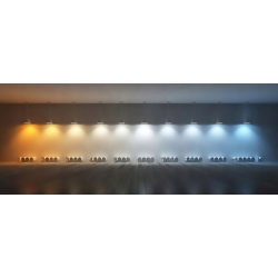 Żarówka LED E14 C37 6W 230V 3000K 480lm Forever Light (LXL003447)