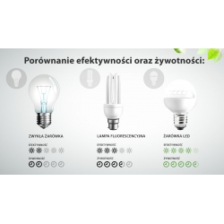 Żarówka LED G45 7W, E14, 3000K, 230V